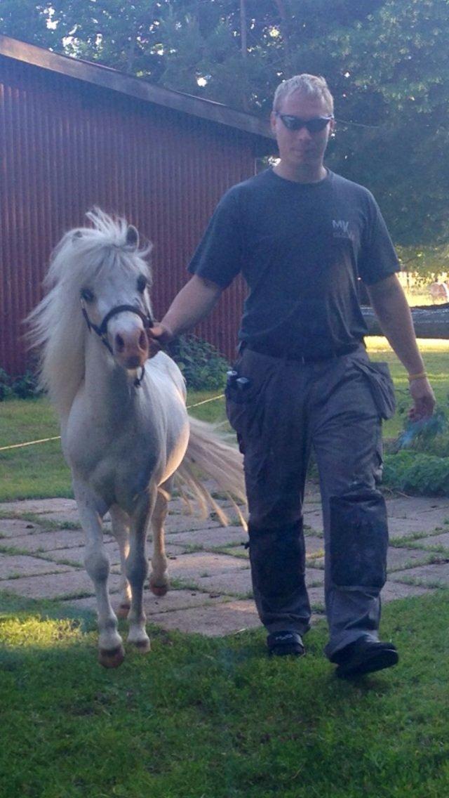 Anden særlig race Stald Østergaard's pondus billede 11