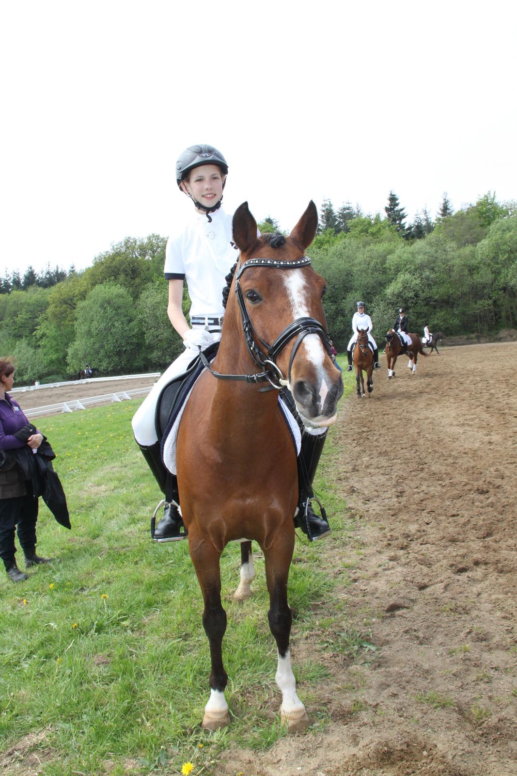 Anden særlig race Astaróla B-pony billede 19