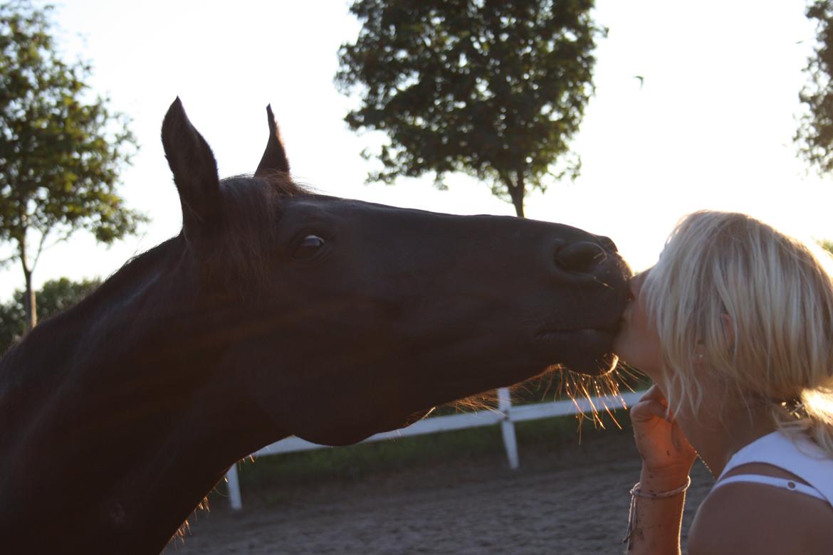 New Forest Angels Ditch Ana Rosa - møsmøs :* 25-07-13 billede 19