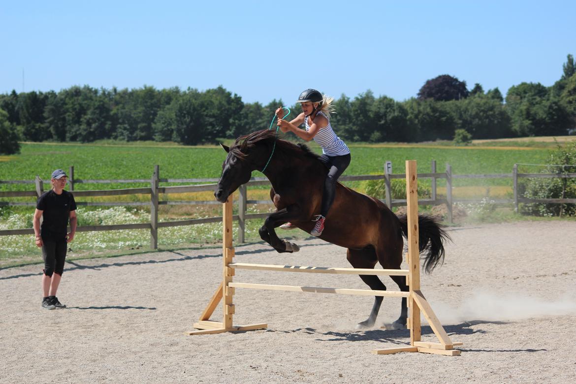 New Forest Angels Ditch Ana Rosa - 70 cmi cordeo <3 horsemanship opvisning på Mia Lykke Nielsens ridelejr :) 21-07-13 billede 5