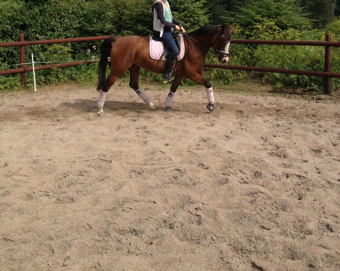 DSP Haahr's Tala billede 7