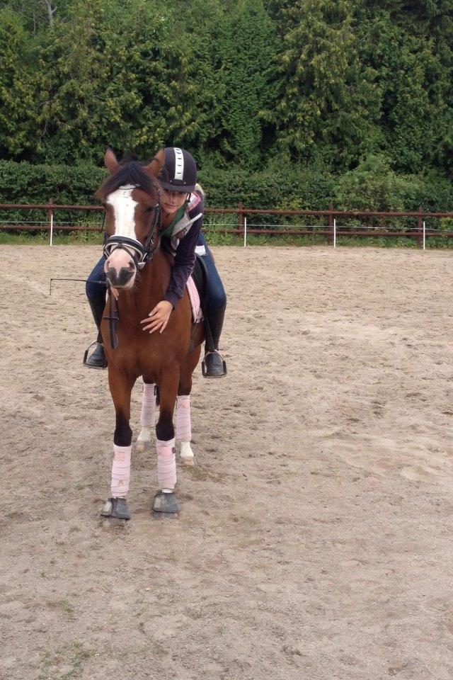 DSP Haahr's Tala billede 8