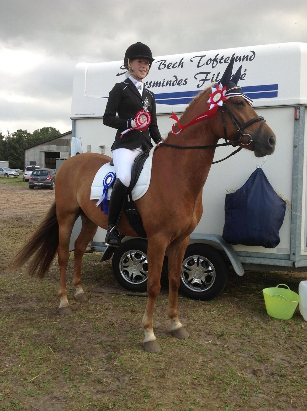 DSP Larsmindes Filanté billede 22