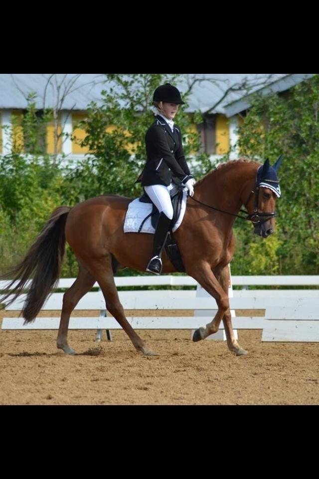 DSP Larsmindes Filanté billede 21