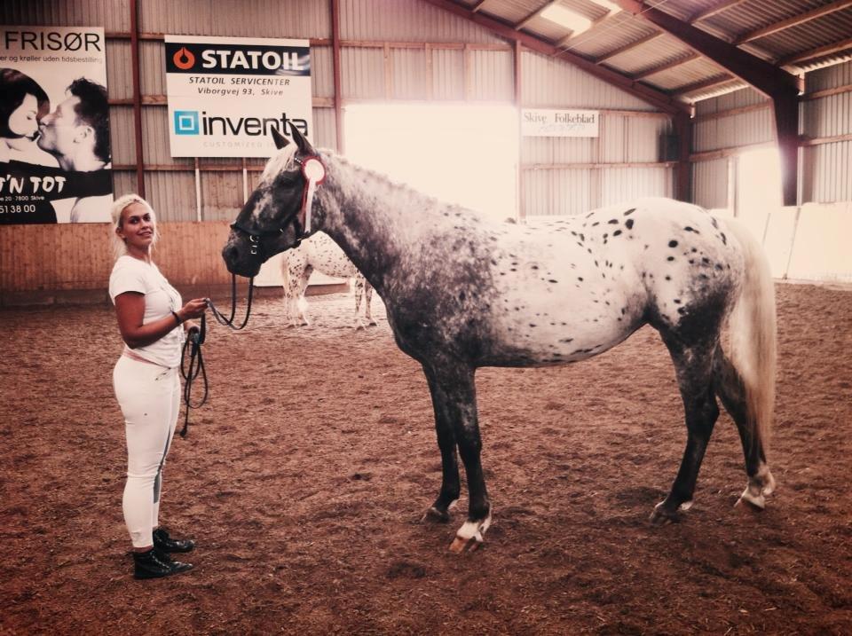 Knabstrupper Friis' Safia billede 3