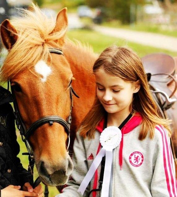 Anden særlig race Alie (HVR Rideskolepony) [Rider] - 30 September billede 1