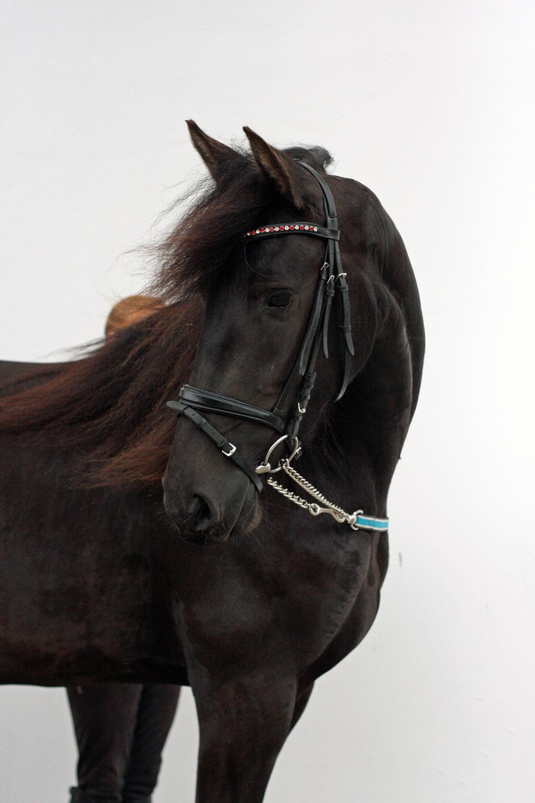 Frieser Hanna billede 25