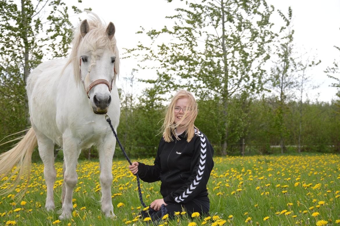 Anden særlig race Isabella billede 6