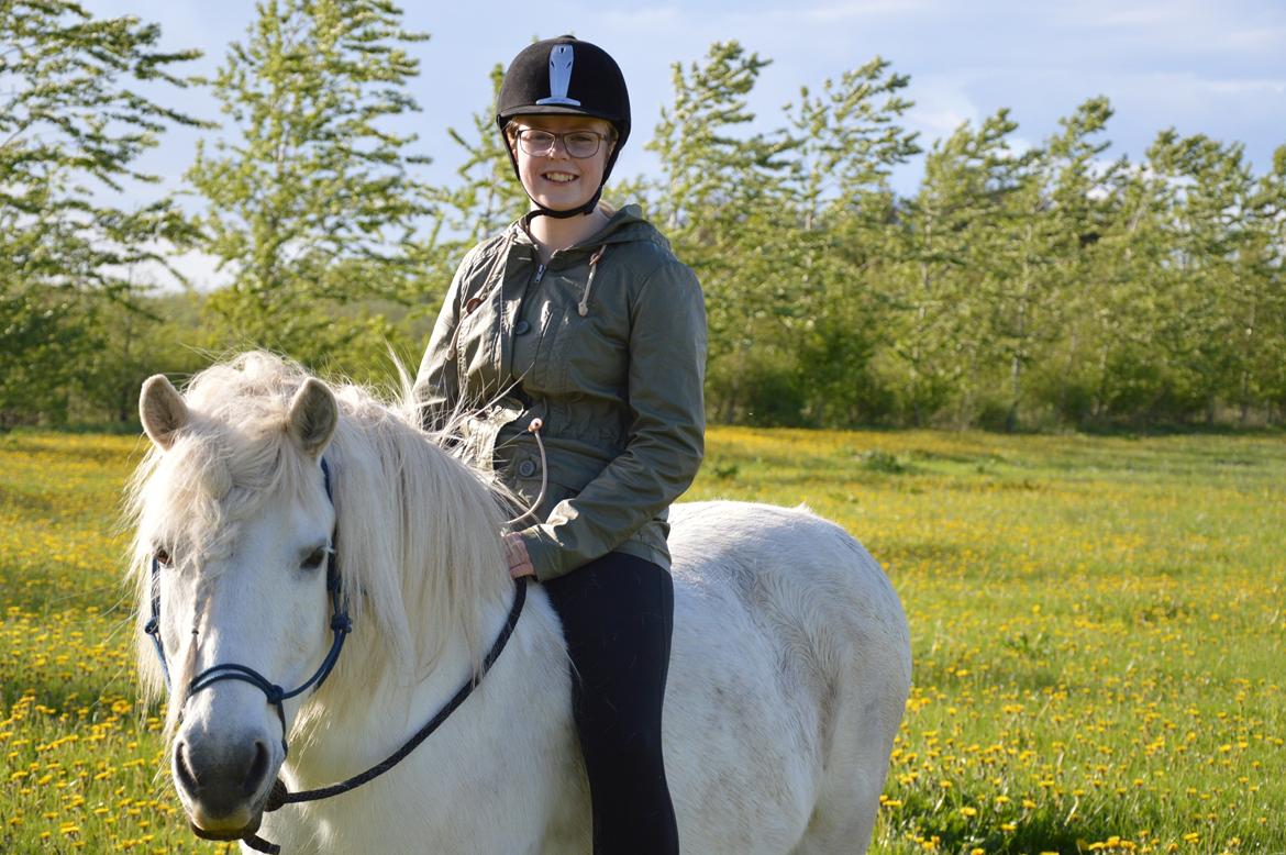 Anden særlig race Isabella billede 7