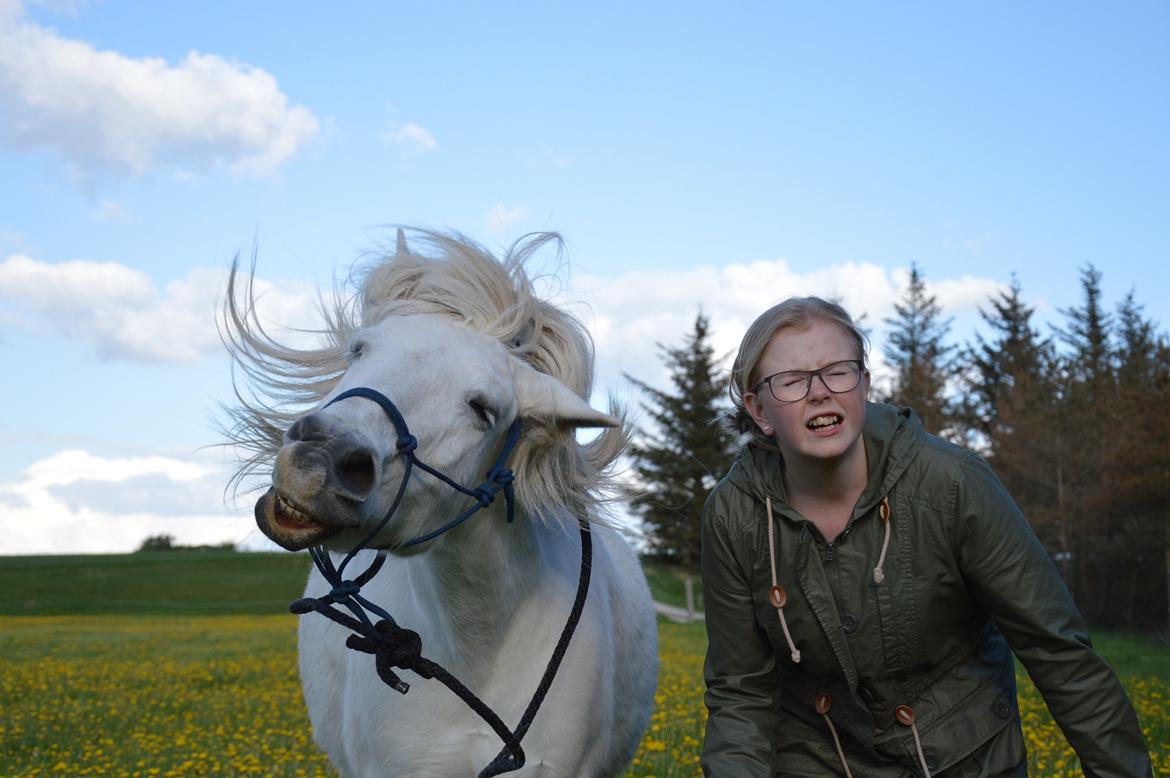 Anden særlig race Isabella billede 12