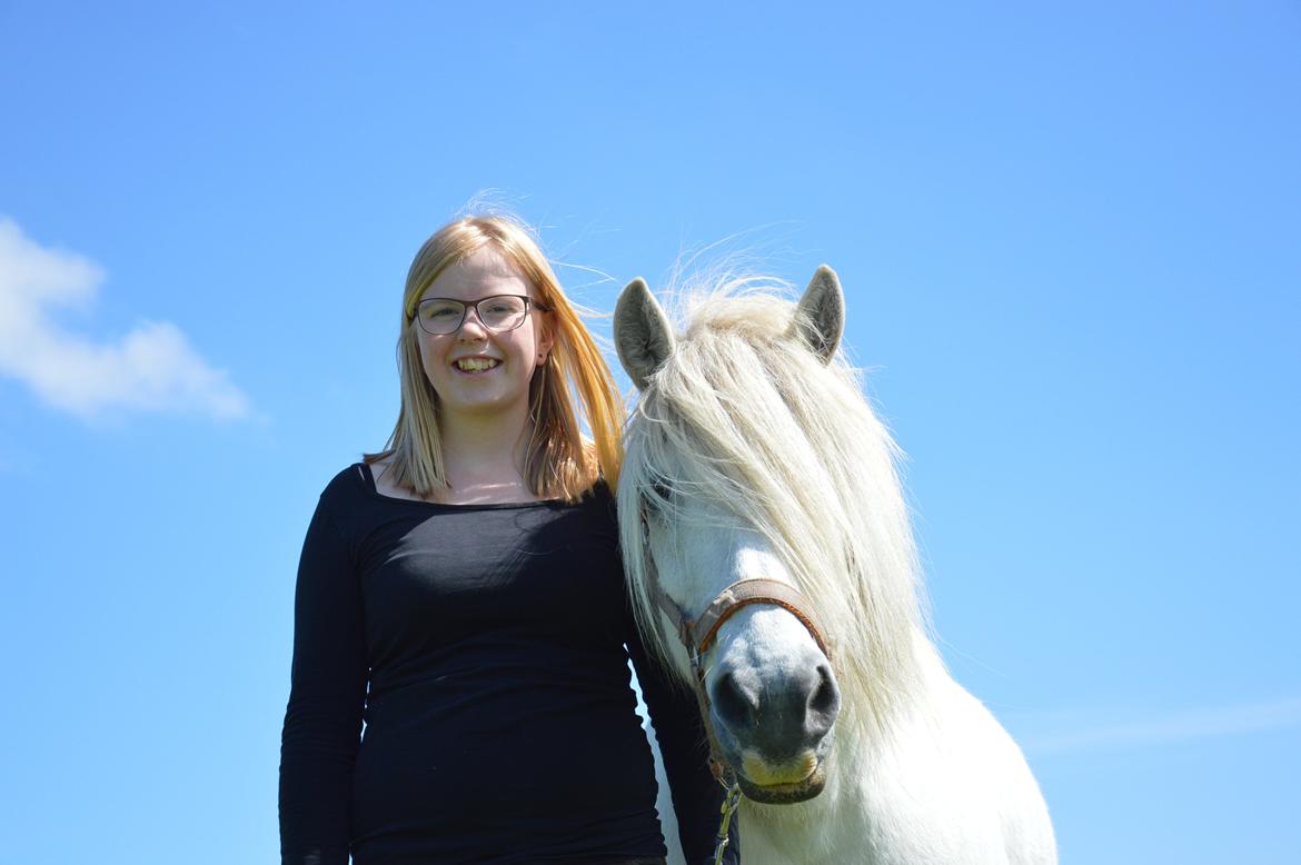 Anden særlig race Isabella billede 8