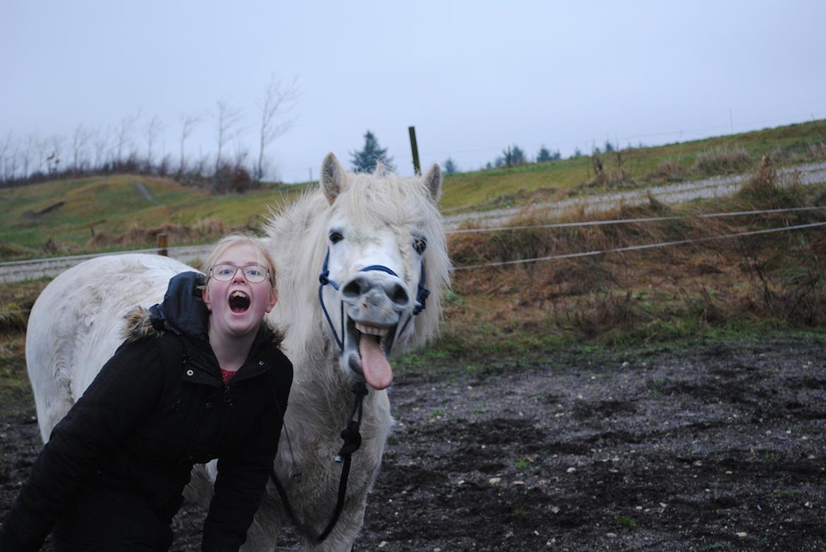 Anden særlig race Isabella billede 18