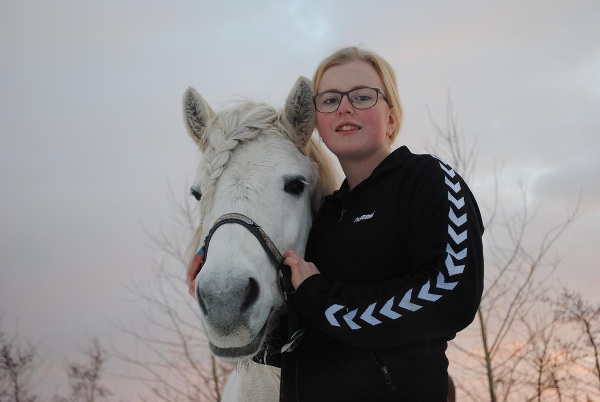 Anden særlig race Isabella billede 19