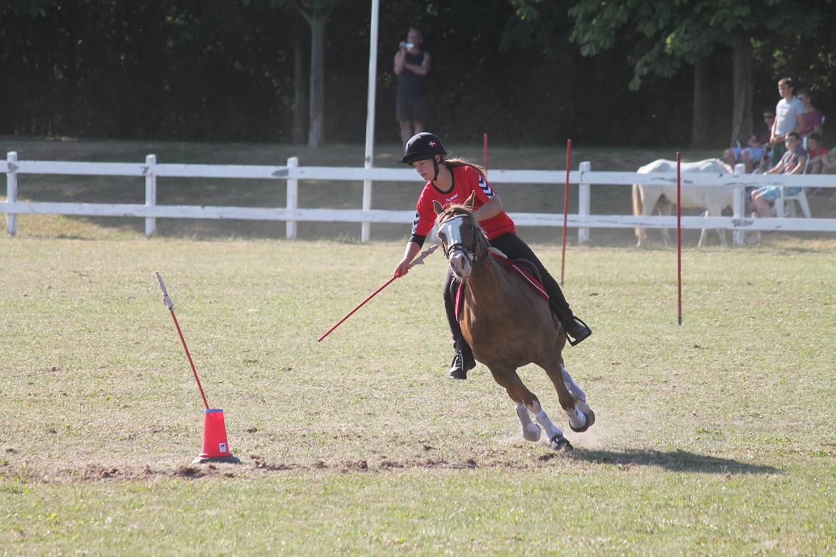 Tysk Sportspony Fee 768 - VM 2013<3 billede 15