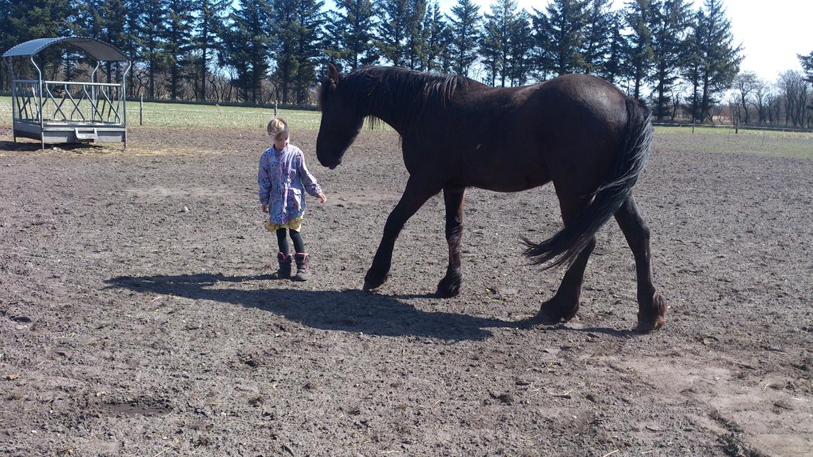 Frieser Temmy billede 32