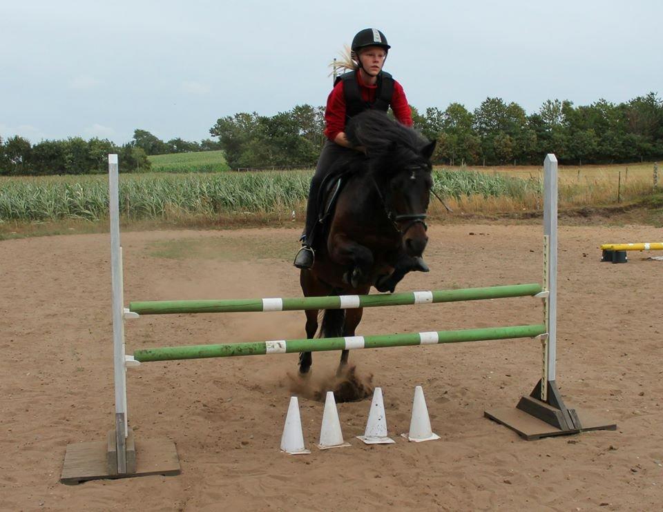 Anden særlig race RAMI - Springtræning. 95 cm. <3 billede 20