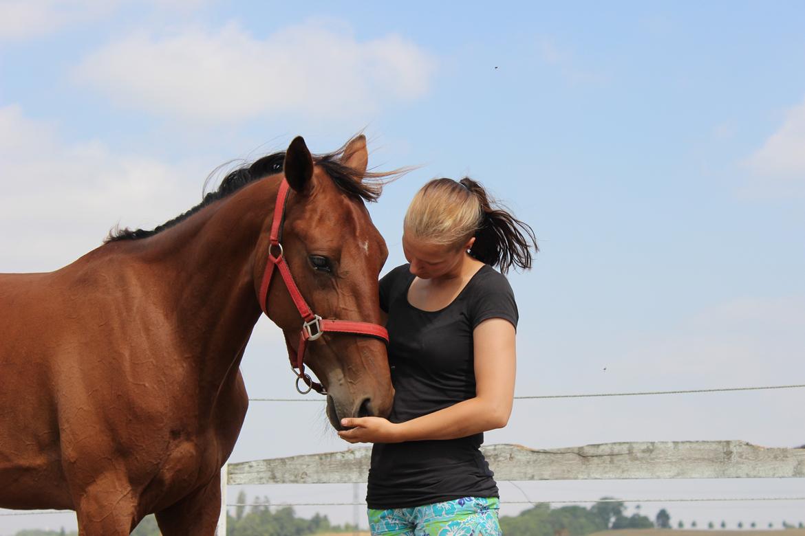 Traver Swept To Klindtholm - Den hest der betyder alt <3  billede 13