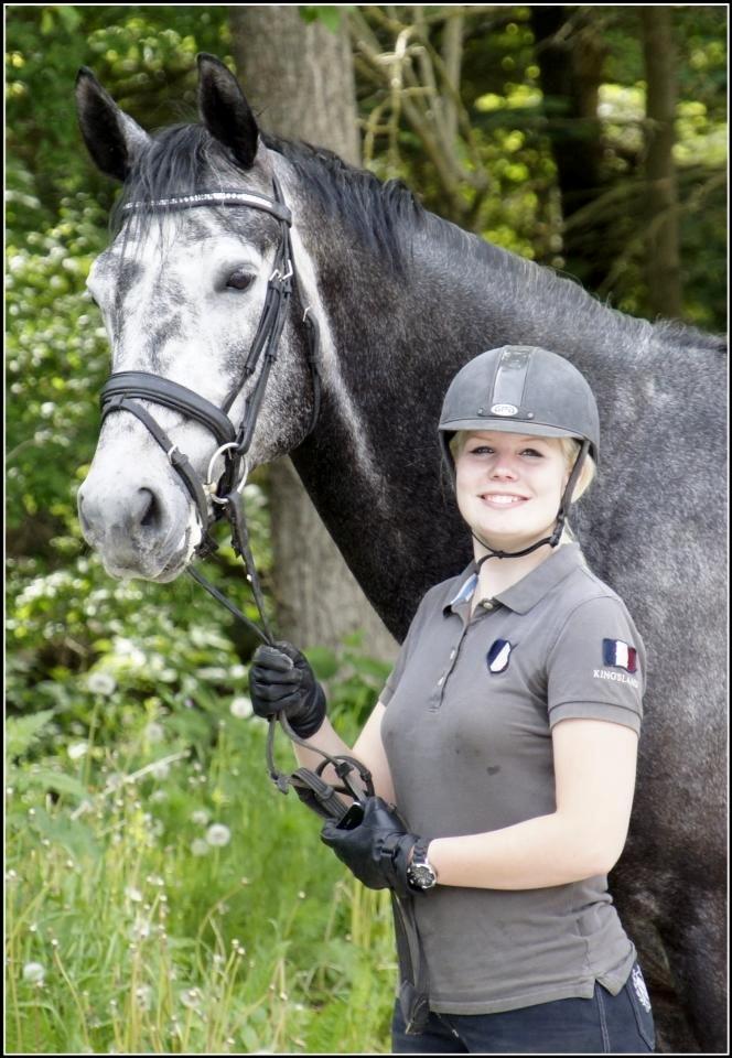 Dansk Varmblod I´matric billede 28