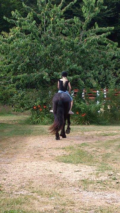 Frieser Temmy billede 38