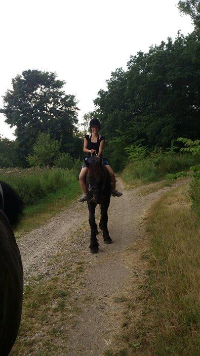 Frieser Temmy - ca 10 meter med rytter billede 35