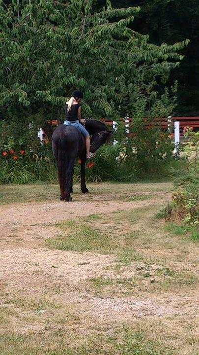 Frieser Temmy - Hvad mon der egentlig er meningen med at de der stænger sidder der?? billede 37