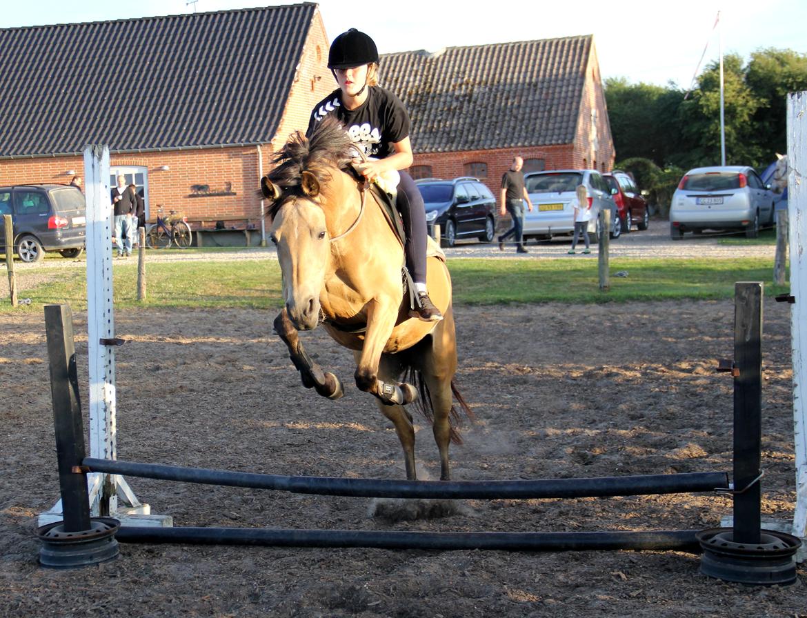 DSP Anemone Wales - Ridelejr 2013 <3 billede 2