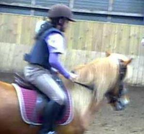 Anden særlig race Alie (HVR Rideskolepony) [Rider] billede 10