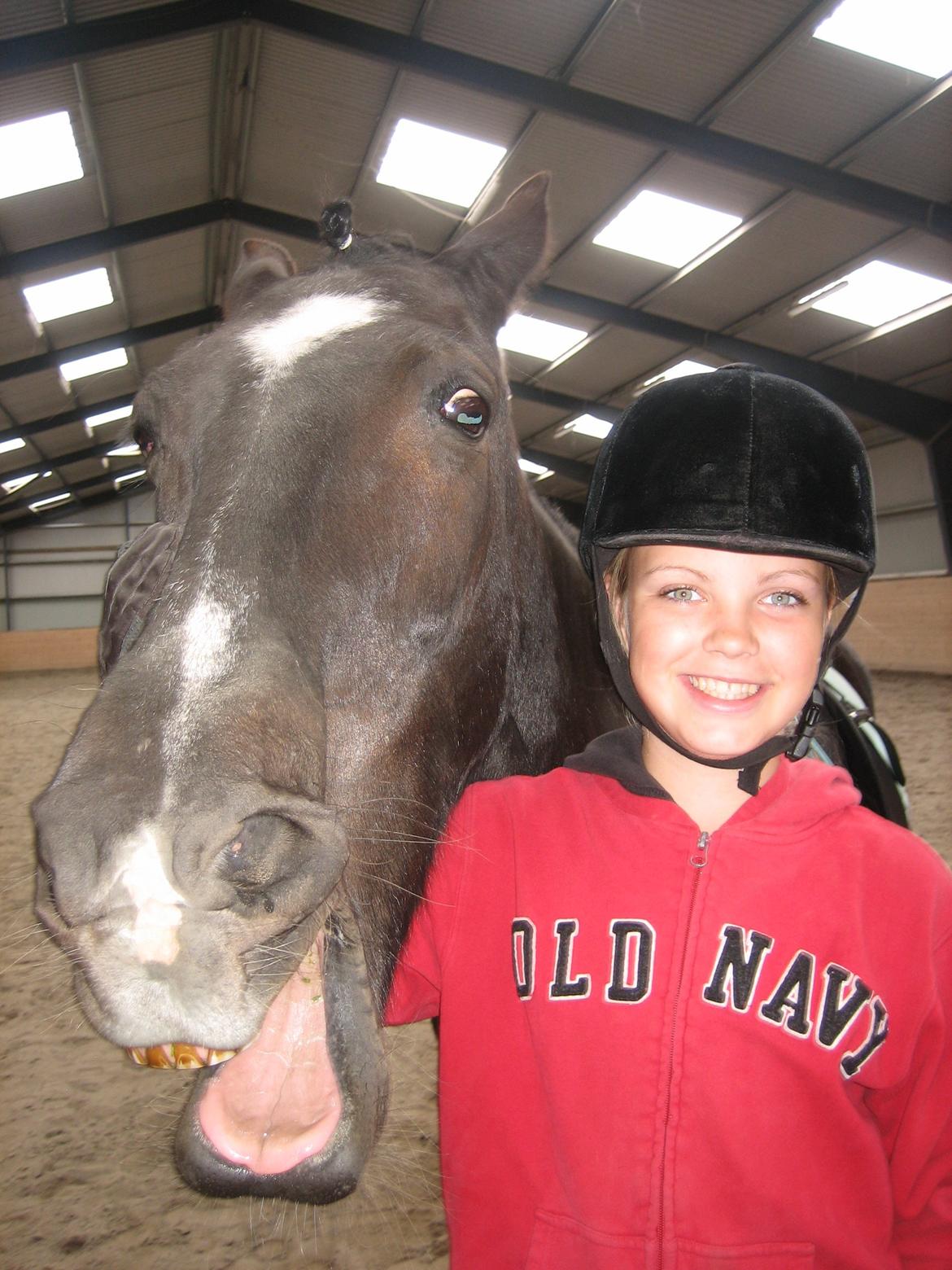 New Forest Dusty<3 - træt efter ridning<3 billede 8