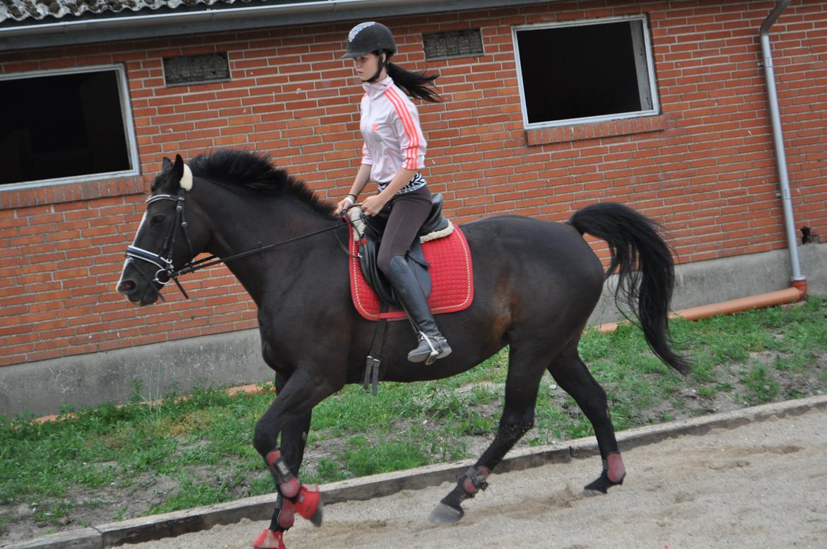 Oldenborg Josefine Fjellerup - VBH -<3 [Prinsesse] - Foto: Laura Elversøe billede 32