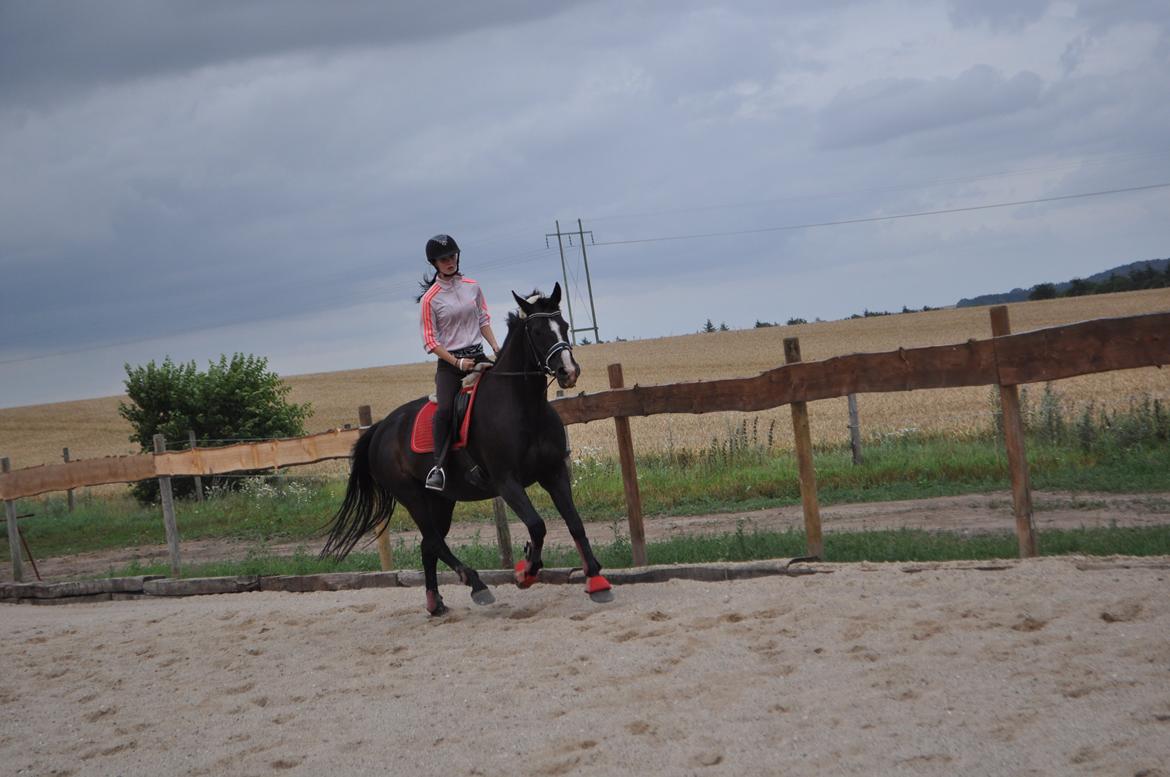 Oldenborg Josefine Fjellerup - VBH -<3 [Prinsesse] - Foto: Laura Elversøe  billede 33