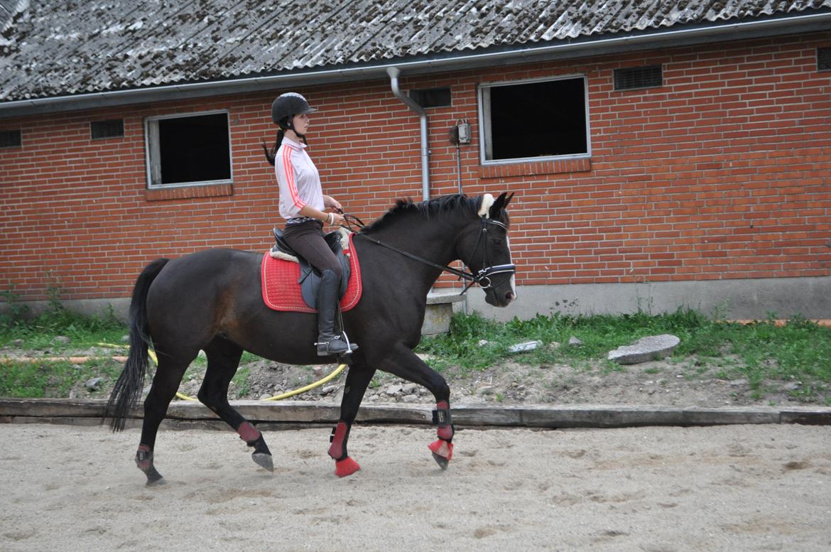 Oldenborg Josefine Fjellerup - VBH -<3 [Prinsesse] - Foto: Laura Elversøe  billede 34