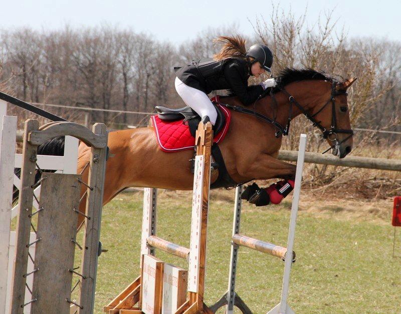 Anden særlig race Santina - stævne i hodsager (2013) billede 21