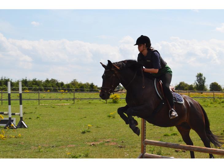 {{currentPhoto.altText}} billede {{currentPhoto.number}}