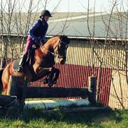 DSP Bæklunds Tabita