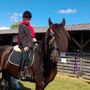 Frieser Nero / Darkhan