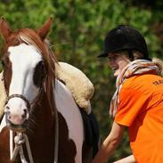 Pinto Tinker blanding Ronja "Ponyen med pletter"