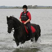 Frieser Nero / Darkhan