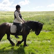 Frieser Nero / Darkhan