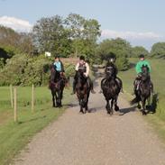 Frieser Nero / Darkhan