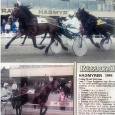 Koldblodstraver Tronilla