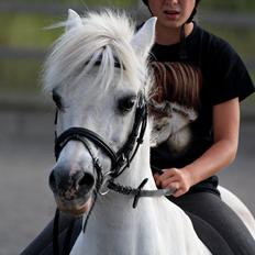 Anden særlig race SNEHVIDE