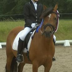 DSP Troja min dejlige part!