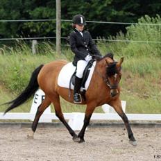 DSP Troja min dejlige part!