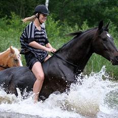 Oldenborg Dulcis Chagall
