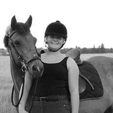 Hollandsk Sportspony Jasmijn