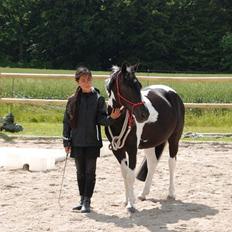 Anden særlig race Bonni