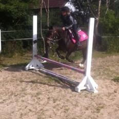 Anden særlig race Miss JJ