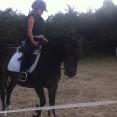 Anden særlig race Miss JJ