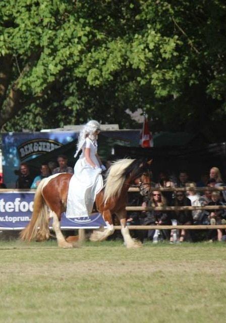 Tinker Satin's Con Fetti billede 6