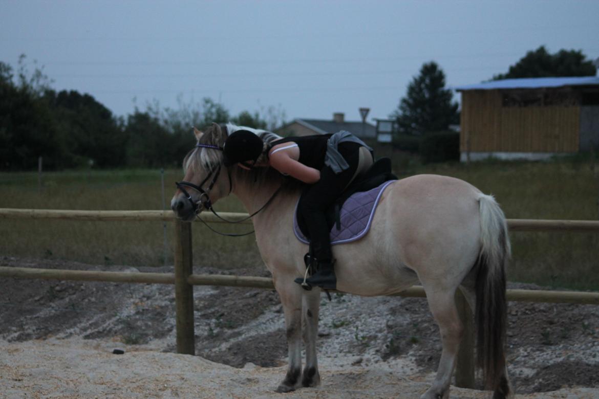 Fjordhest Ronja - Vores 2. ridetur efter 1½ års pause - Hun er den samme uanset :) billede 1